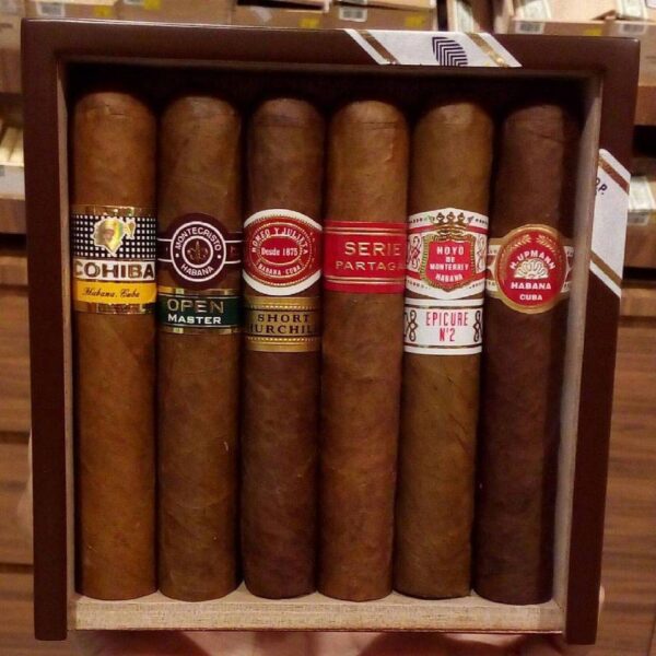 Seleccion Petit Robusto